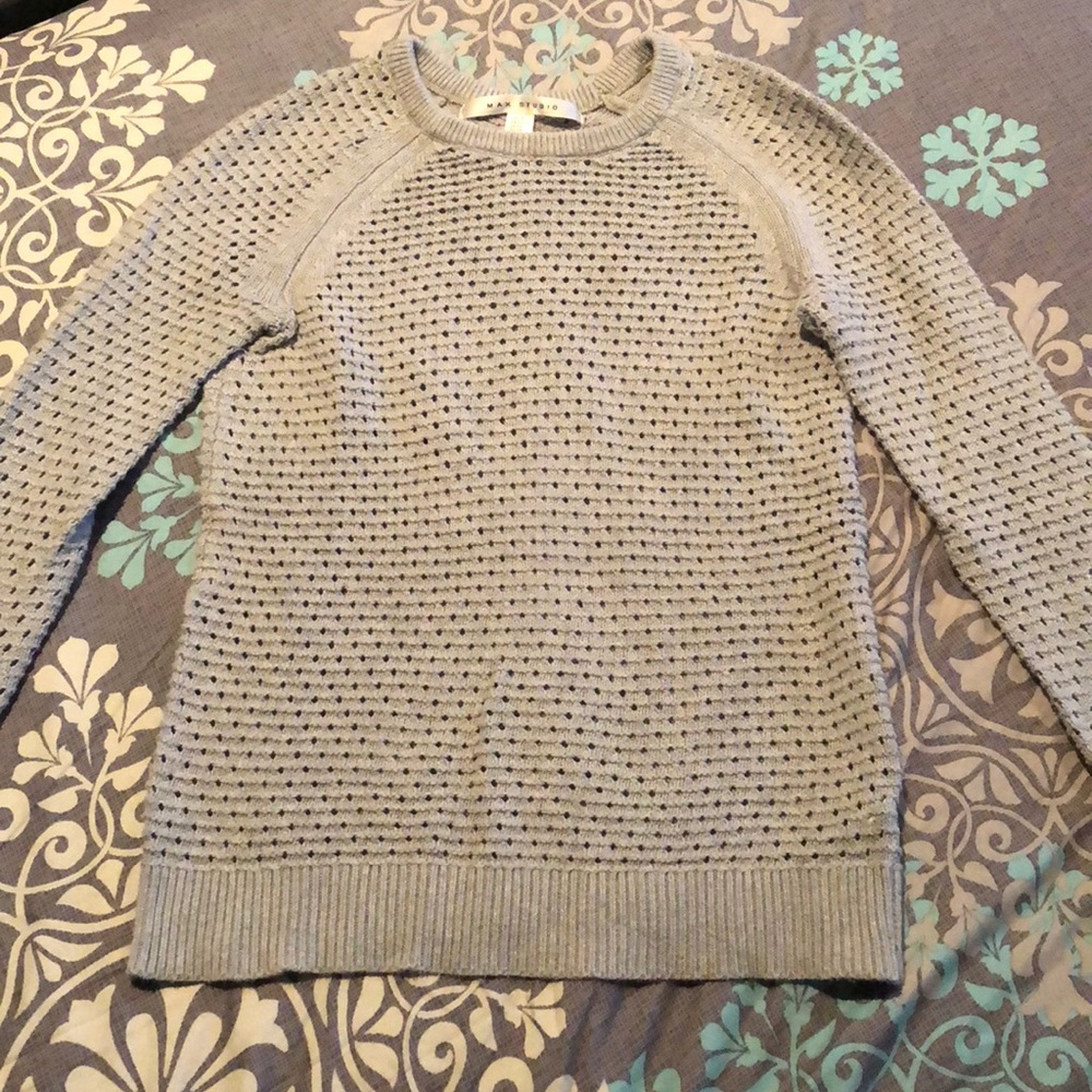 Max studio Sweater